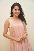 Panchi Bora Photos